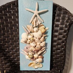 Seashell and Starfish Wall Art